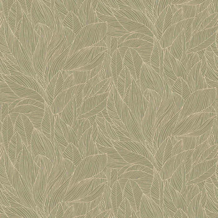 HOSTA Papier peint CASAMANCE