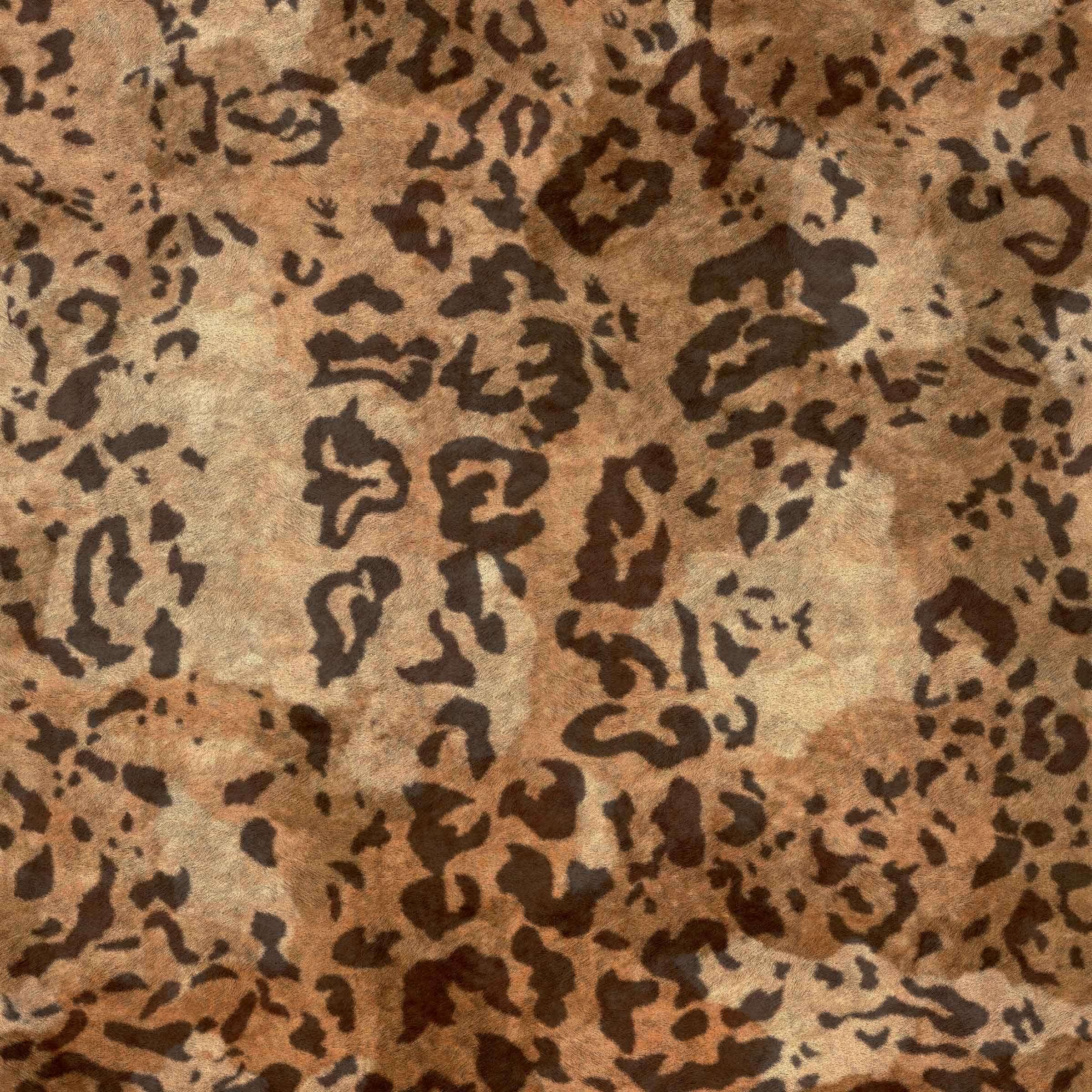 LEOPARD Panoramique ELITIS