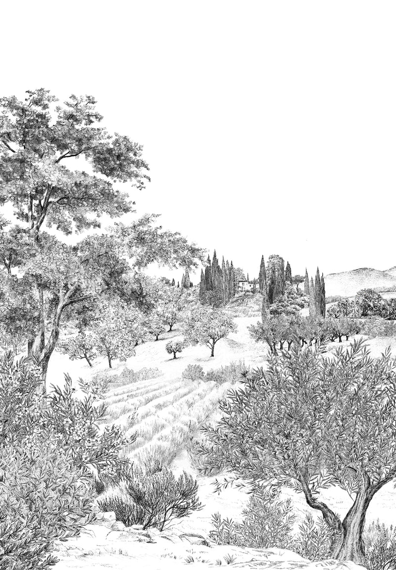 PROVENCE PANORAMIQUE ISIDORE LEROY