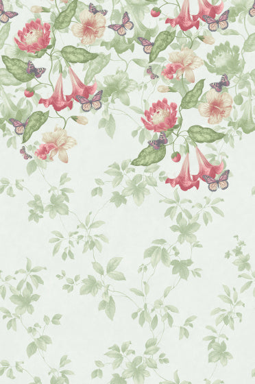 ASTERID Panoramique LITTLE GREENE