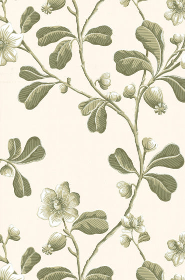 BROADWICK STREET Papier peint LITTLE GREENE