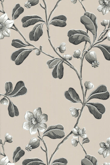 BROADWICK STREET Papier peint LITTLE GREENE