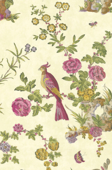 DARWIN Papier peint LITTLE GREENE