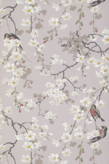MASSINGBERD BLOSSOM Papier peint LITTLE GREENE