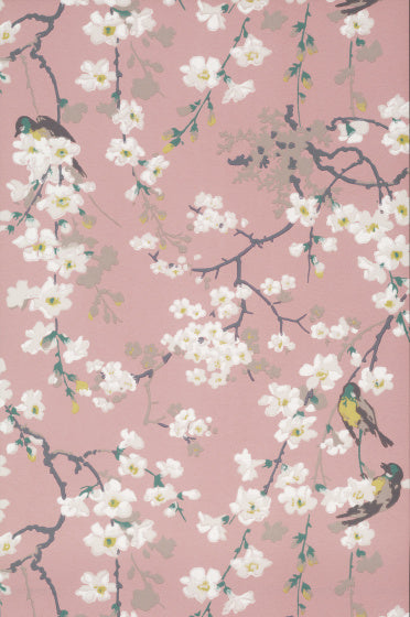 MASSINGBERD BLOSSOM Papier peint LITTLE GREENE
