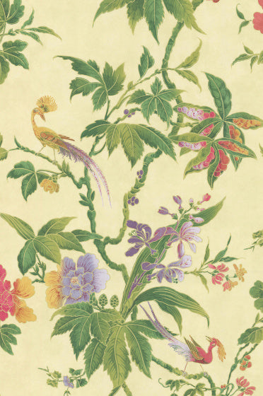 PARADISE Papier peint LITTLE GREENE
