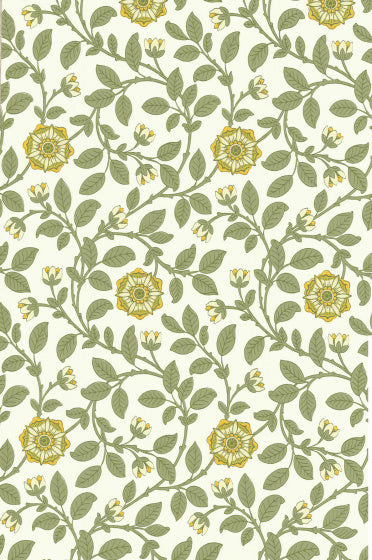 RICHMOND GREEN Papier peint LITTLE GREENE