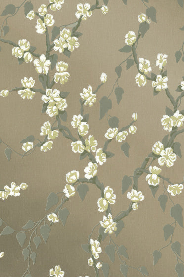 SAKURA Papier peint LITTLE GREENE