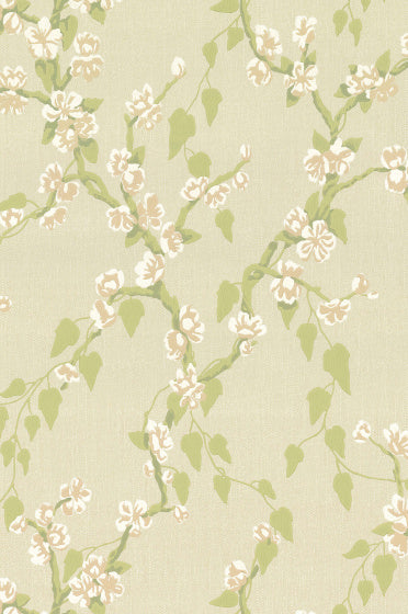 SAKURA Papier peint LITTLE GREENE