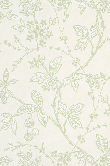 WREST TRAIL Papier peint LITTLE GREENE