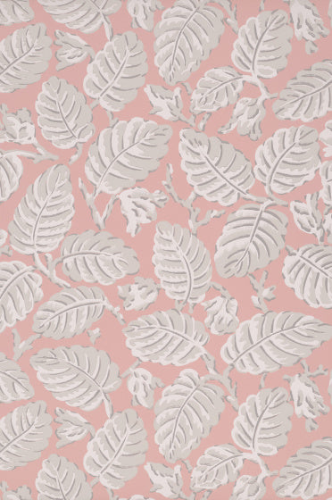 BEECH NUT Papier peint LITTLE GREENE