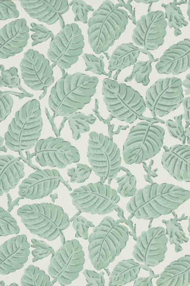 BEECH NUT Papier peint LITTLE GREENE