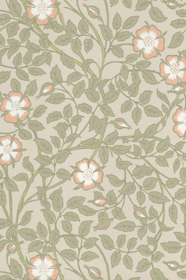 BRIAR ROSE Papier peint LITTLE GREENE