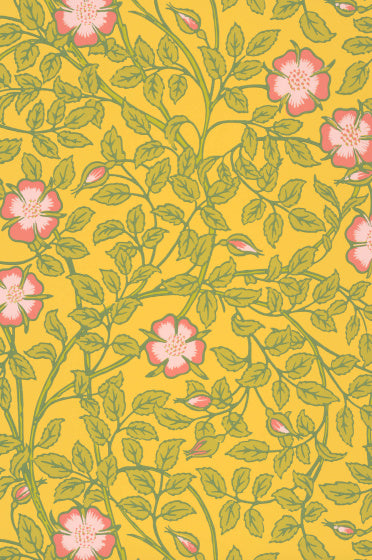 BRIAR ROSE Papier peint LITTLE GREENE
