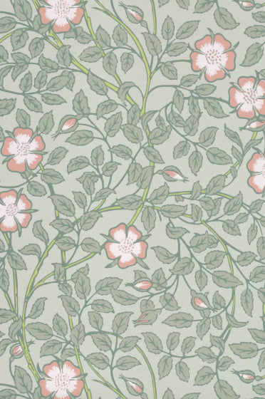 BRIAR ROSE Papier peint LITTLE GREENE