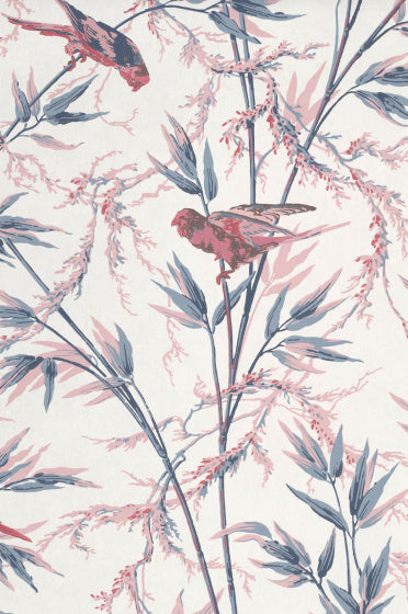 GREAT ORMOND ST Papier peint LITTLE GREENE