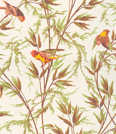 GREAT ORMOND ST Papier peint LITTLE GREENE