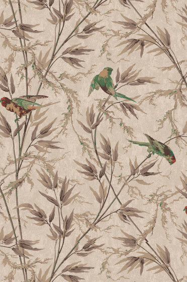 GREAT ORMOND ST Papier peint LITTLE GREENE