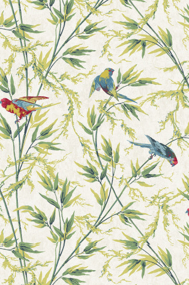 GREAT ORMOND ST Papier peint LITTLE GREENE