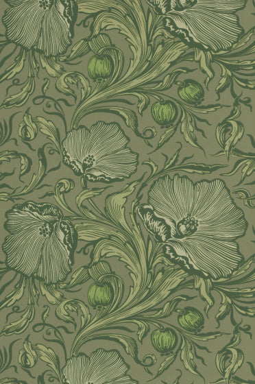 POPPY TRAIL Papier peint LITTLE GREENE