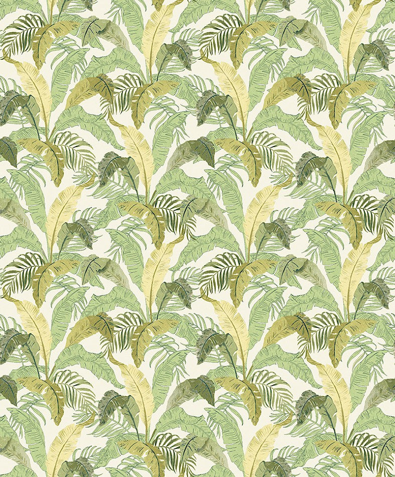 BOTANIC Papier peint MASUREEL