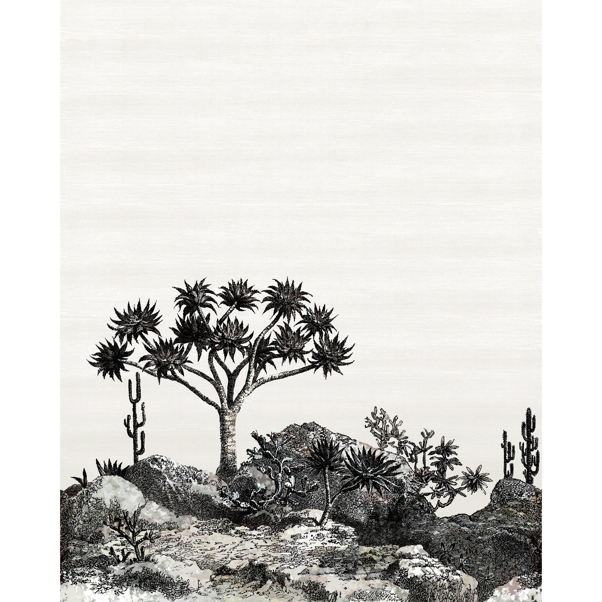 YUCCA Panoramique NOBILIS